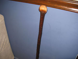 Absolutely Stunning Blackthorn Shillelagh/Walking Stick/Bata,