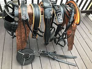 ***Leaders Worldwide Inc***Leather Pleasure Harness- Cob~ Black/London!