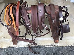 ***Leaders Worldwide Inc*** Tech Poly Harness ~full/horse ~ Brown!