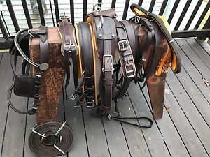 ***Leaders Worldwide Inc***Leather Pleasure Harness-full/horse- Brown/London!