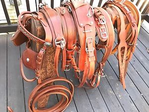 ***Leaders Worldwide Inc*** Cob Leather Presentation Harness ~tan