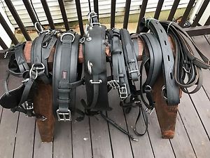 ***Leaders Worldwide Inc*** Cob Tech Competition Harness ~synthetic~black!