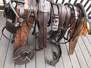 ***Leaders Worldwide Inc***Leather Pleasure Harness~Full/Horse- Brown!