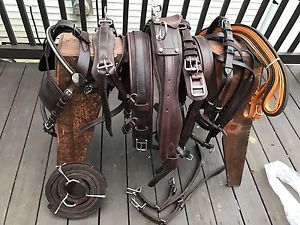 ***Leaders Worldwide Inc*** Leather Pleasure Harness For Cob ~Brown!