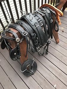 ***Leaders Worldwide Inc*** Cob Leather Presentation Harness~Patent Black!