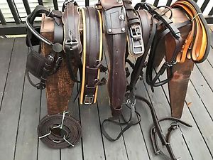 ***Leaders Worldwide Inc*** Leather Pleasure Harness -Cob~Brown/London!