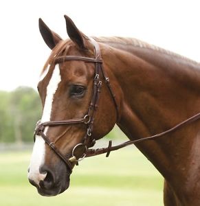 ANTARES OF FRANCE PREMIUM LEATHER FIGURE EIGHT BRIDLE SIZE 1, 2, Or 3