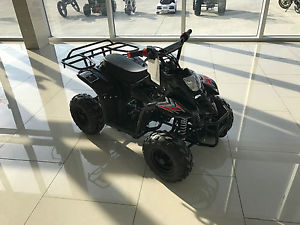 Kids 110cc gas 4 wheeler in stock 4 stroke Automatic FREE SHIPPING FROM CANADA