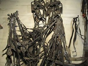 Nice Draft Horse Team Harness With Lines And Bridles