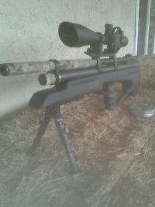 Benjamin marauder .25