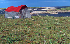 bug tent with mosquito netting walls