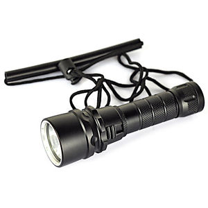 10X (XML L2 LED 1000 Diving Flashlight Torch Waterproof Underwater Torch LED WS