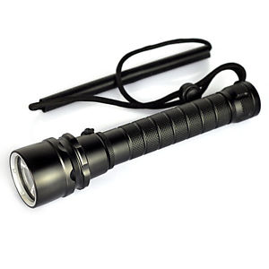 10X (1000 Lumen L2 LED Diving Flashlight Torch light 20-50M Underwater Waterp WS