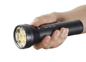 Lupine TL2 5000 Lumen Torch