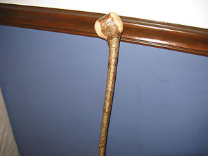 Absolutely Stunning Irish  Shillelagh/ Fighting Stick/ Bata.!!!!!!!!!!!!!!!!