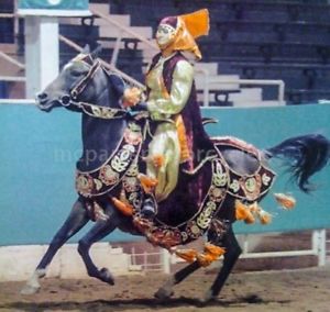 Arabian Arab Show Horse and Rider Native Tack & Costume Set W Saddle & Headstall