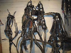 Draft HorseTeam Show  Harness With Lines & Bridles Very Nice