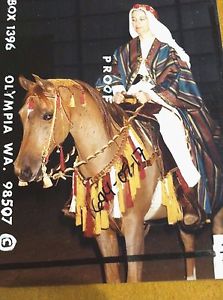 Arabian show horse native costume