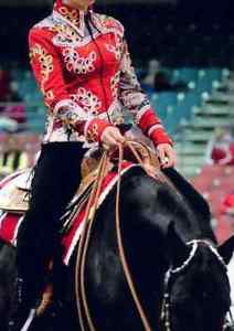 Stunning Showtime World Quality Horsemanship/Showmanship Excellent Cond.