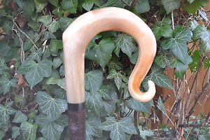 Walking Sticks - Ram's Horn Shepherds Crook.