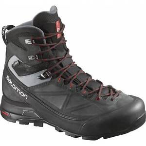 Salomon X Alp MTN GTX black / asphalt / flea