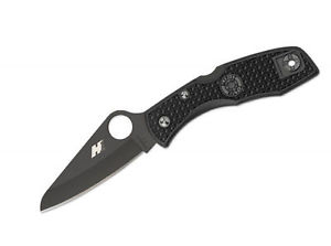 Spyderco Salt I plain