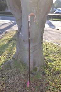 Walking Sticks - Ram's Horn Shepherds Crook.