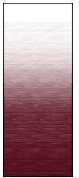 Carefree 80176A00 Burgundy Fade 17' Universal Replacement Fabric