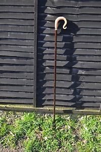 Walking Sticks - Ram's Horn Shepherds Crook.