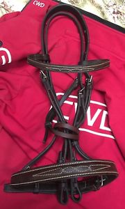 Jimmys 21st Century Full Size Horse English Bridle Wide Noseband Fancy Stitched