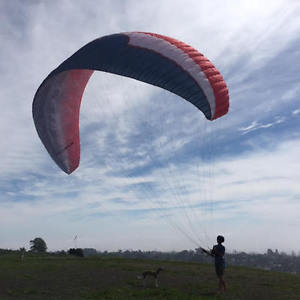 USED Ozone Delta M Paraglider for aspiring Pilots!