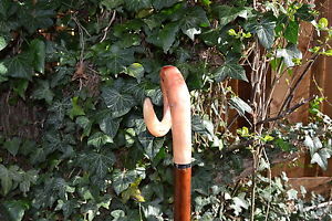 Walking Sticks - Ram's Horn  Market Stick.