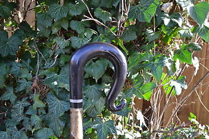 Walking Sticks - Buffalo Horn Shepherds Crook.