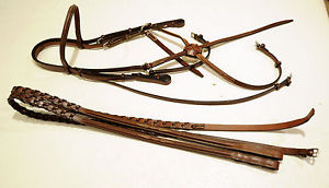 NEW CAVLARY Figure 8 eight bridle NEW, FANCY laced reins, horse full