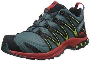 Tg 45 1/3 EU| Salomon Xa Pro 3D Gtx, Scarpe da Trail Running Uomo, Grigio (North