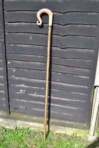 Walking Sticks - Ram's Horn Shepherds Crook.