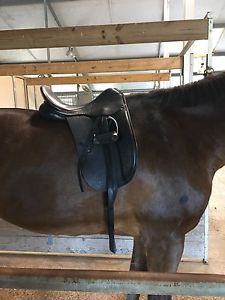 County Connection Dressage Saddle 17.5 Seat