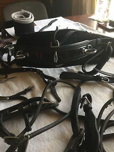 Miniature Horse Driving Harness Fancy Rolled Leather with Patent Leather Trim