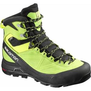 Salomon X Alp MTN GTX black / gecko green