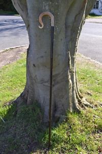 Walking Sticks - Ram's Horn Shepherds Crook.