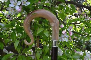 Walking Sticks - Ram's Horn Shepherds Crook.