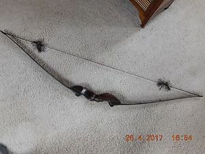 A & H r/, t/d longbow