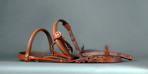 Hermes Bridle with Reins Rare H Signature Equestrian