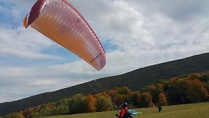 Paraglider Element 2 XS - perfect crispy condition - no tears - 38 flights done