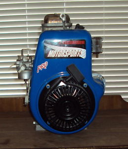 Stock Tecumseh 12hp OHV Motorsports Engine