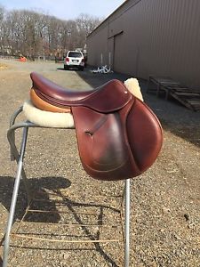 Antares Saddle 18 Wide Tree 2012 Calfskin