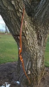 Heartland Pulse custom longbow, 49#@28"