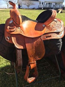 circle y saddle Equitation saddle, 14" seat, headstall,reins,breast collar set