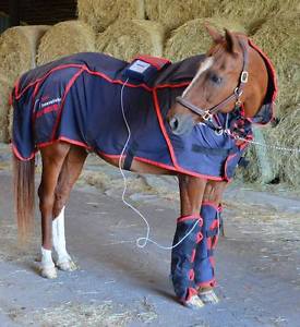 Equine therapy systems ACTIVO-MED - IMPULSE LINE - PULSED ELECTROMAGNETIC FIELDS