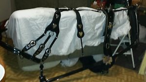 Draft horse Prade harness